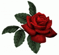 ������ ������� sabreen