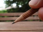 ������ ������� ���� ���