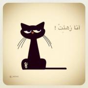   no name